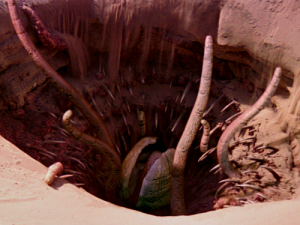 500px-Sarlacc-BTM-DB