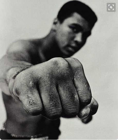 Fist of Ali